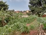 A picture of A plot measuring 22decimals for sale UGX190m in Kyanja Kungu.