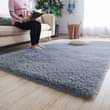 A picture of Carpets
