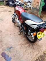Nyinge M.