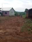 A picture of 100ft x 100ft 25Decimals available for sale in Located in