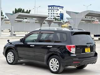 A picture of SUBARU FORESTER