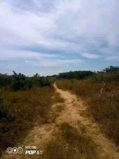 mwembeshi