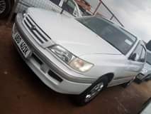 A picture of Premio Ordinary