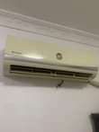 A picture of Sle