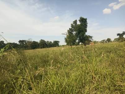 A picture of Quick sale 35m half an acre 50decimals with ready land