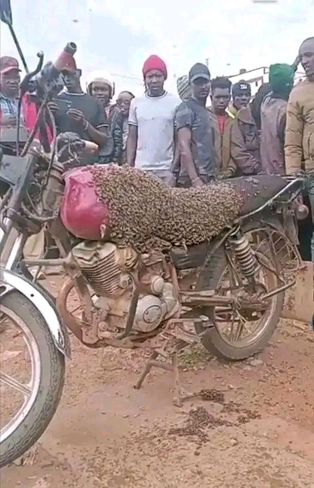 A picture of KAZE KWA MUGANGA whatsapp 25771459476 RURANGIRA NWA KWISI ITANGAZO Nawe