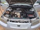 A picture of Camry Tiny