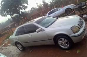 A picture of 5 5m 0743386797