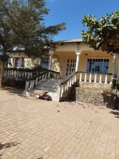 houses for sale