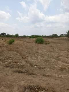mwembeshi