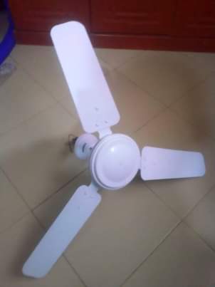fans