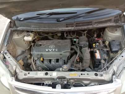 A picture of 8m 0653323677
