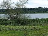 A picture of 5 Acres Private MAILO Land touching shores of Lake Victoria