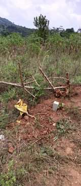 A picture of Plote of land
