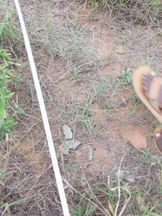 A picture of SHAMBA HEKA 5 LINAUZWA LIPO KARIBU NA UMEME NA LIPO