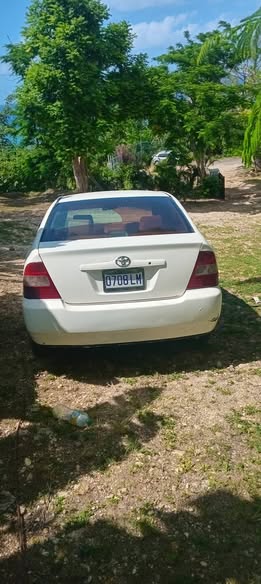 toyota kingfish