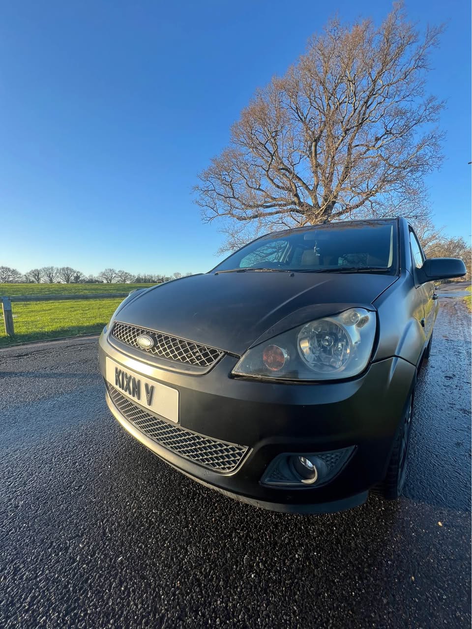 ford zetec