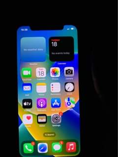 A picture of iPhone X