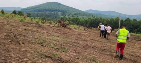 A picture of 0709106274 0774591471 TITLED PLOTS 50X100 FT 6 MILLION UGX