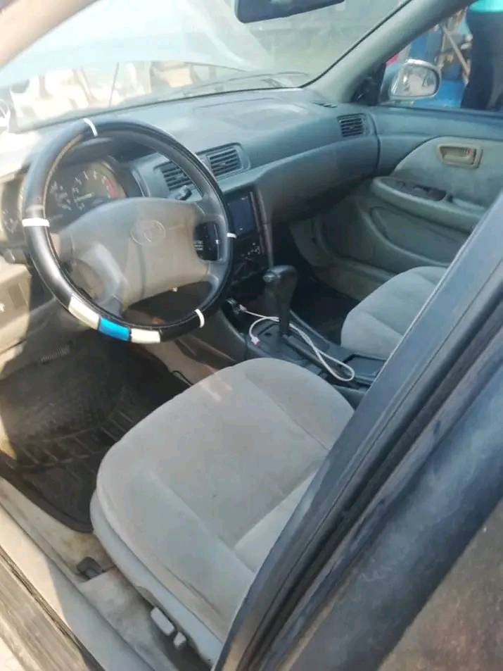 A picture of Camry Tiny Light