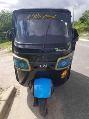 A picture of Tvs king