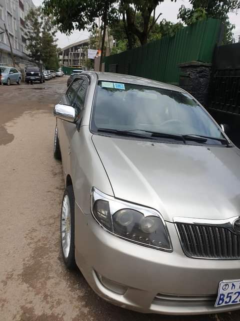 used toyota corolla