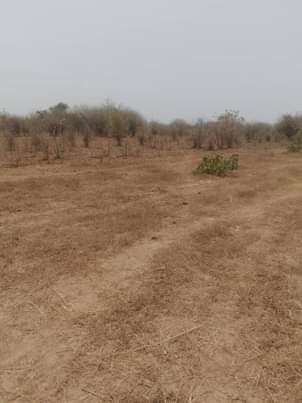 mwembeshi