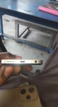 A picture of Simu