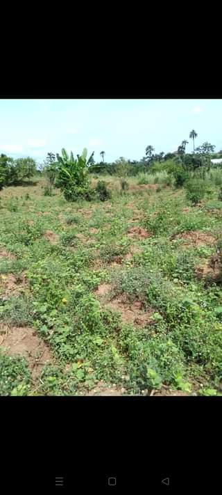 A picture of Land Property For Sale