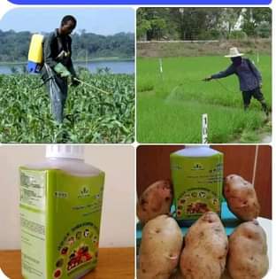 fertilizer