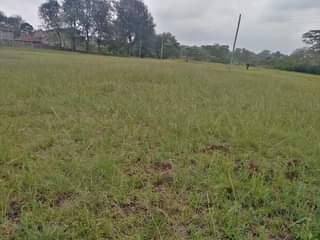 Isaac M.