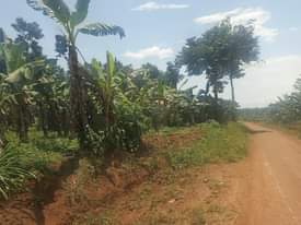 A picture of 7Acres on sale located at nakaseke kasabye village Power on