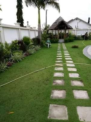 paving