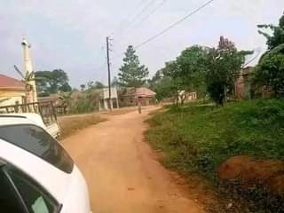 Ssentumbwe B.