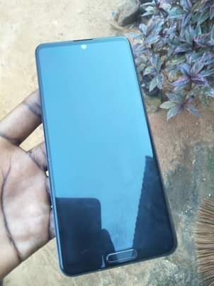 A picture of Aquos storage 256 ram 12