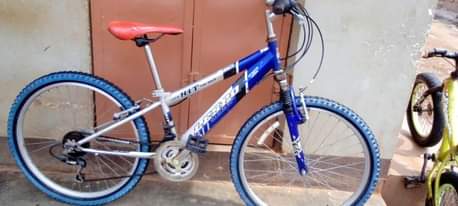 A picture of MOUNTAIN BIKES
