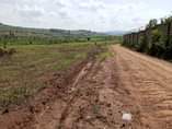 A picture of 25 Decimals available for sale in Kitende sekiwunga half kilometer