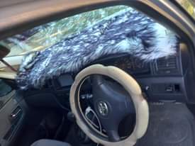 A picture of Toyota spacio
