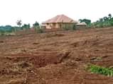 A picture of Matugga kiweebwa kibanja plots