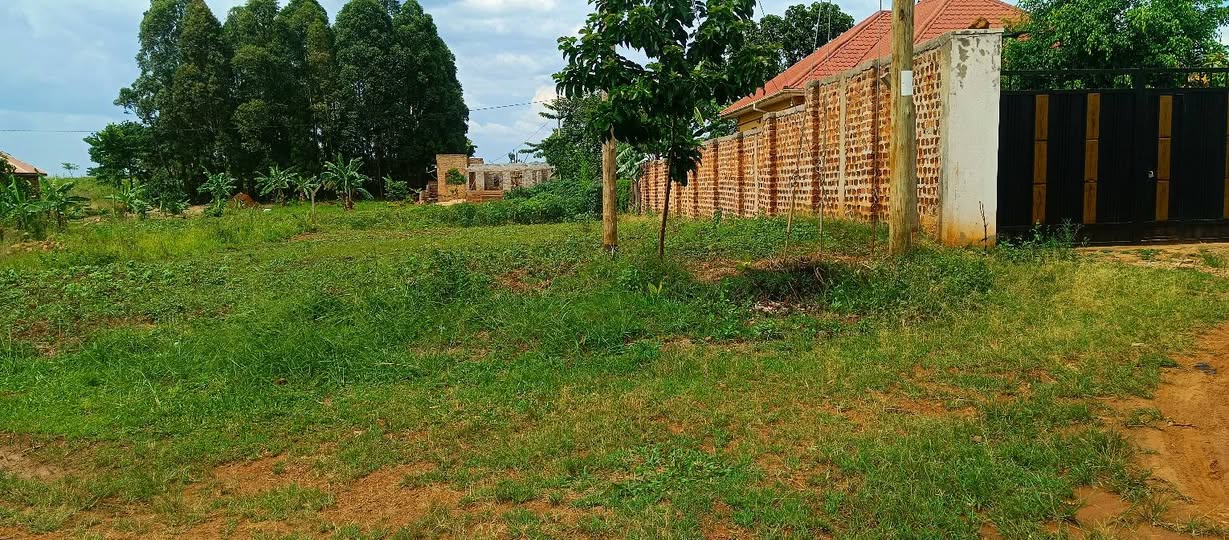 A picture of Titled Plot at Wakiso Jimbo. 35m. Power on site.