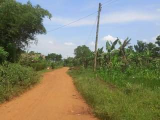A picture of Quick plot for sale in matugga kavule plot size is