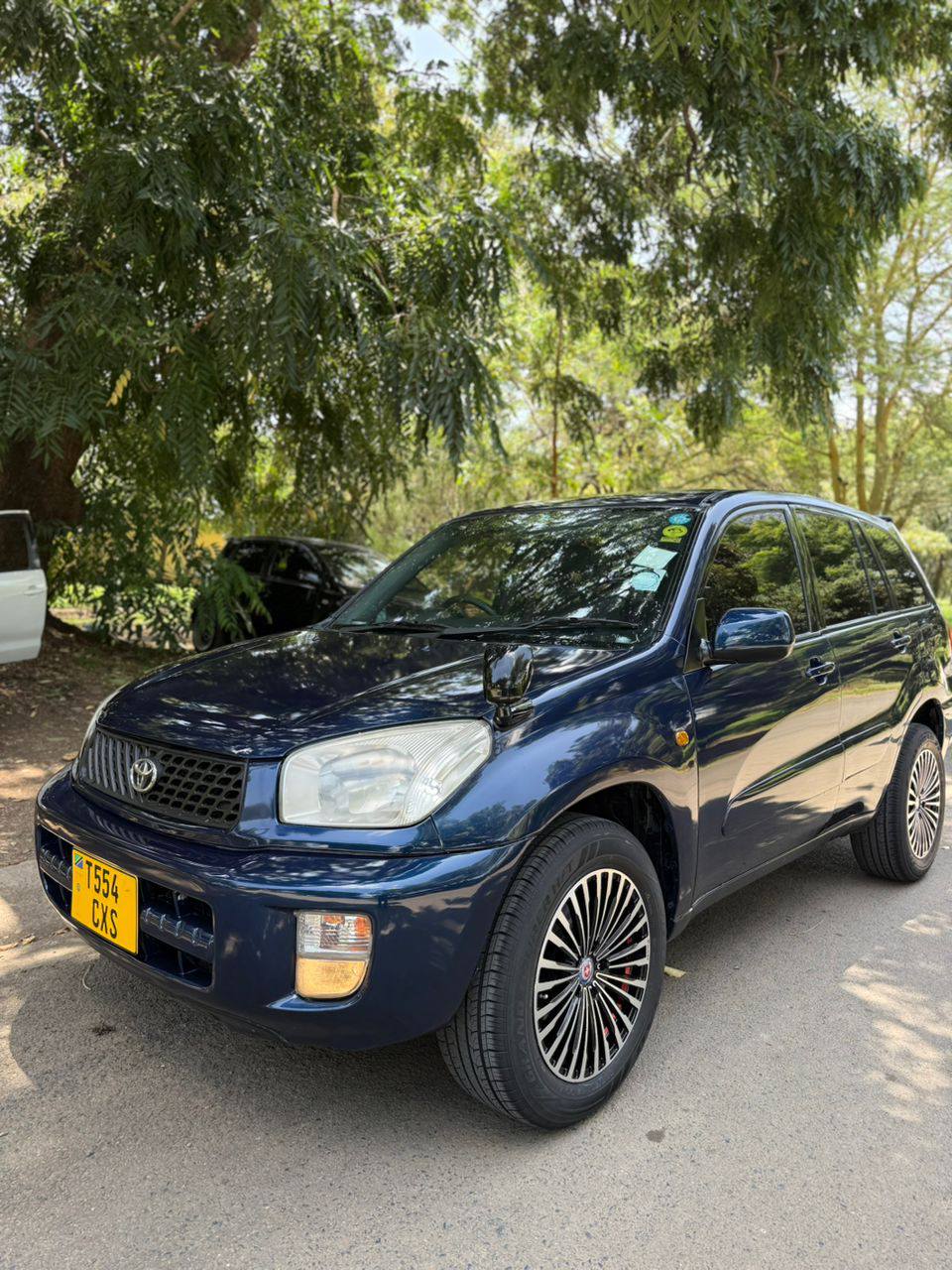 A picture of Rav4 kill time