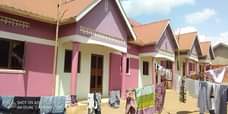 A picture of 4 units on sale Located at katoke Seated on 70