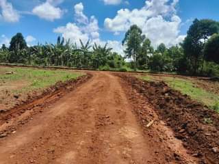 A picture of 50 100FT TITLED PLOTS WITHIN WAKISO FOR AS LOW AS