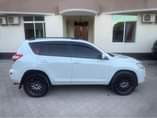 A picture of Rav4