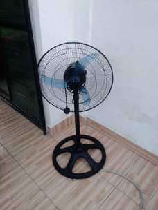 A picture of Feni