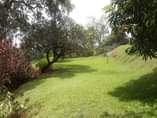 A picture of GOSHEN REAL ESTATE most trusted in Uganda