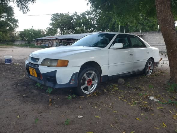 A picture of car