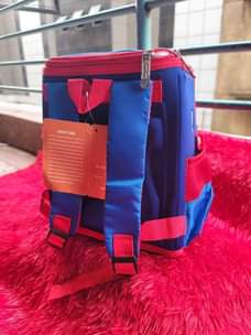 A picture of Kids school Backpack