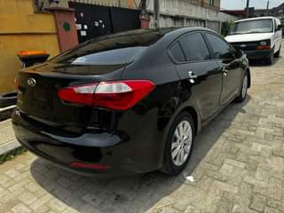 A picture of cerato